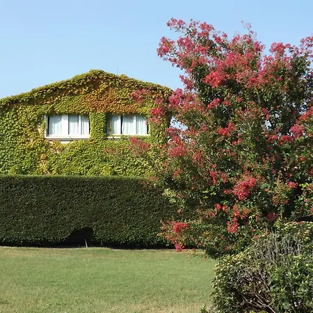 Ca Vettor Bed & Breakfast 3*