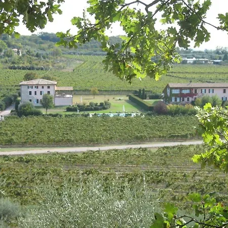 Ca Vettor