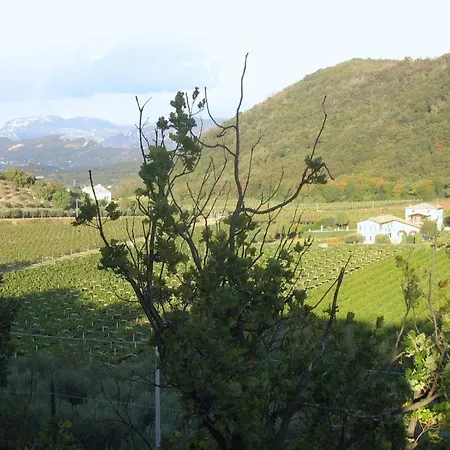Ca Vettor Bed & Breakfast 3*