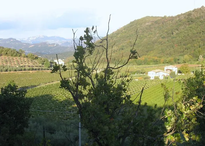 Ca Vettor Bed & Breakfast 4*