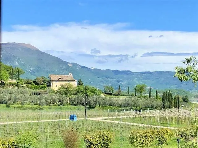 Bed & Breakfast Ca Vettor 4*