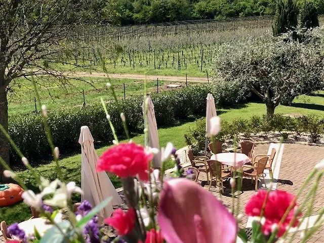 Ca Vettor Bed & Breakfast