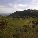 Cà Vettor 4* Affi