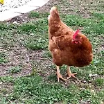 Cà Vettor Alojamento de Acomodação e Pequeno-almoço