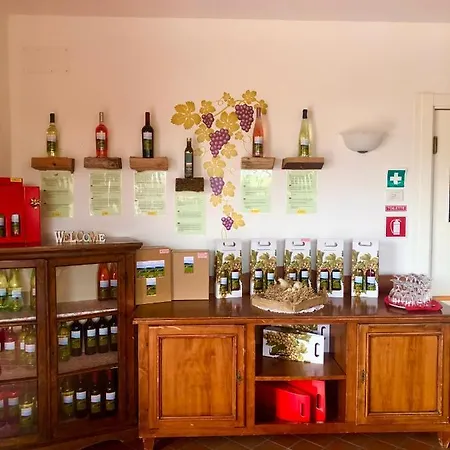 Ca Vettor Panzió 4*