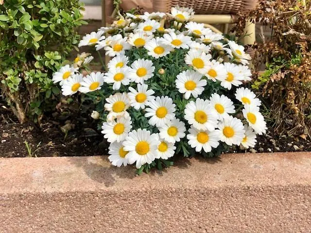 Cà Vettor Bed & Breakfast Affi