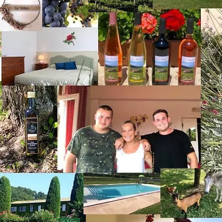 Ca Vettor فندق مبيت وإفطار آفي