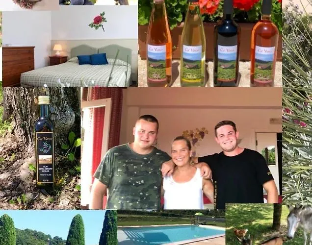 Ca Vettor B&B 아피